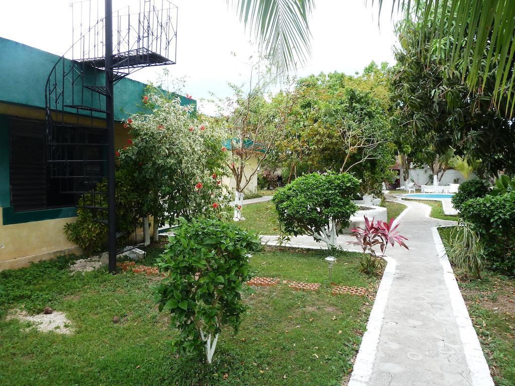 Amigos Hostel Cozumel Dış mekan fotoğraf