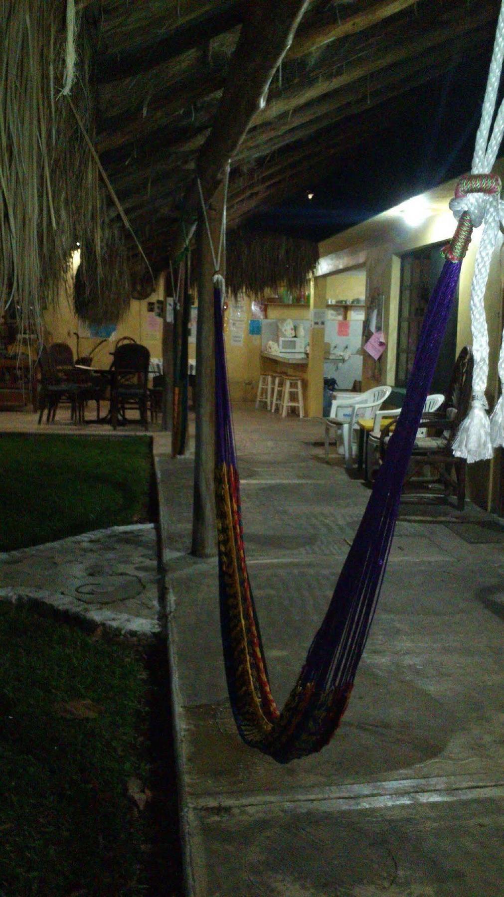 Amigos Hostel Cozumel Dış mekan fotoğraf