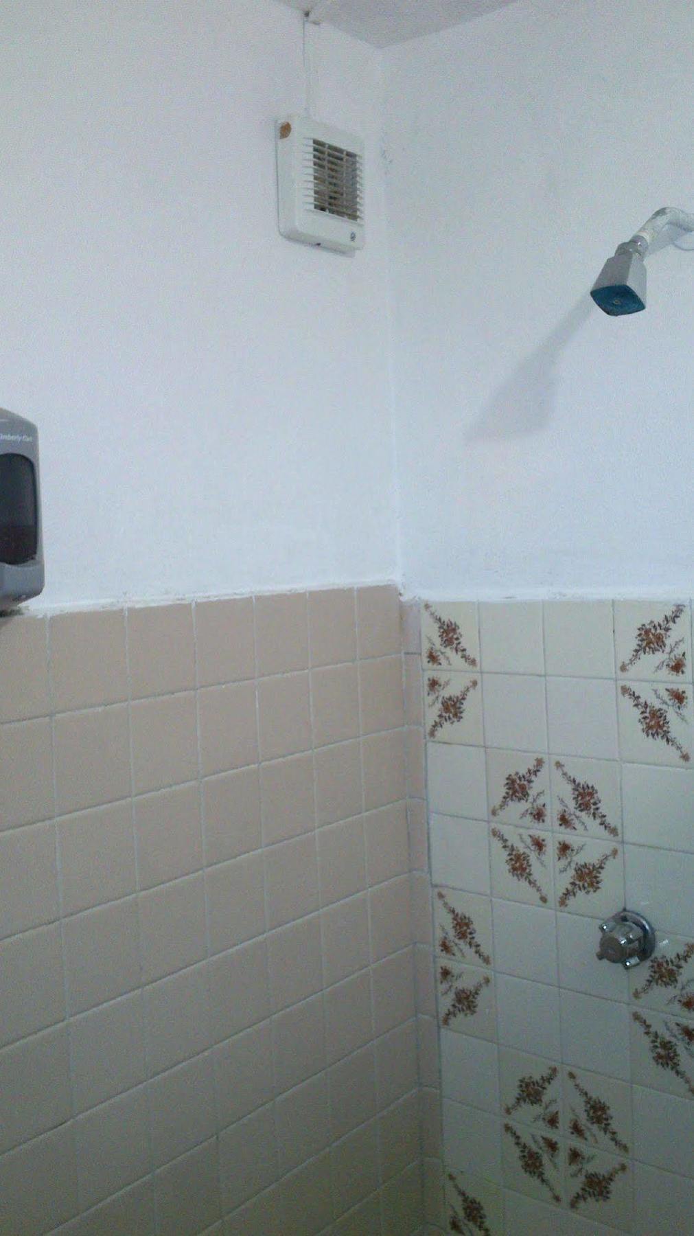 Amigos Hostel Cozumel Dış mekan fotoğraf