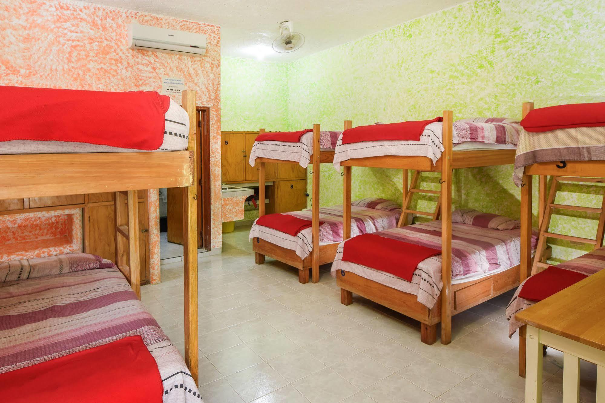 Amigos Hostel Cozumel Hostel yatakları fotoğraf
