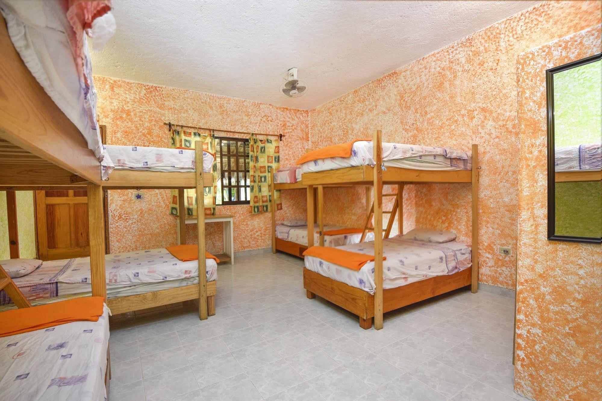 Amigos Hostel Cozumel Dış mekan fotoğraf