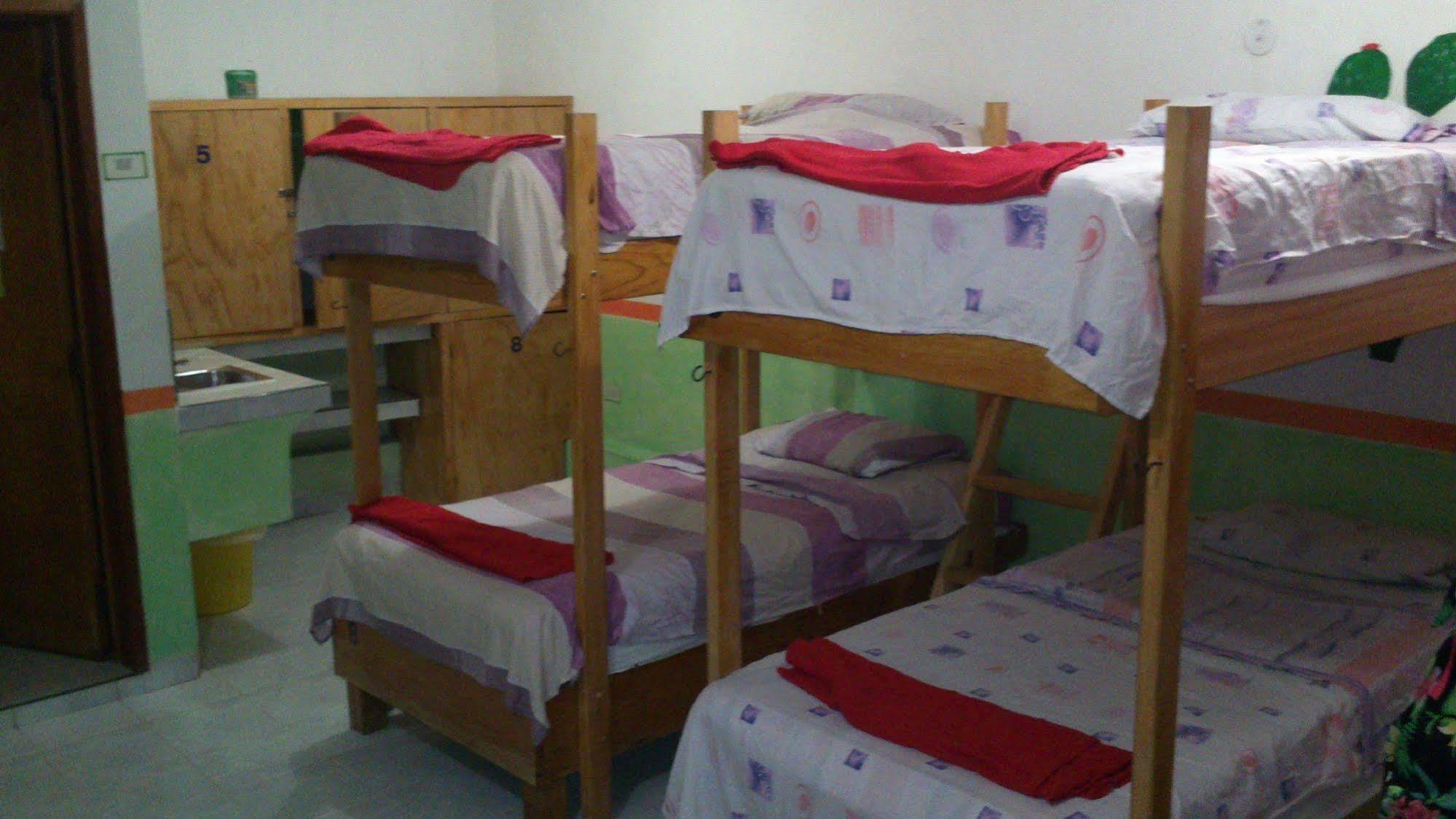Amigos Hostel Cozumel Hostel yatakları fotoğraf